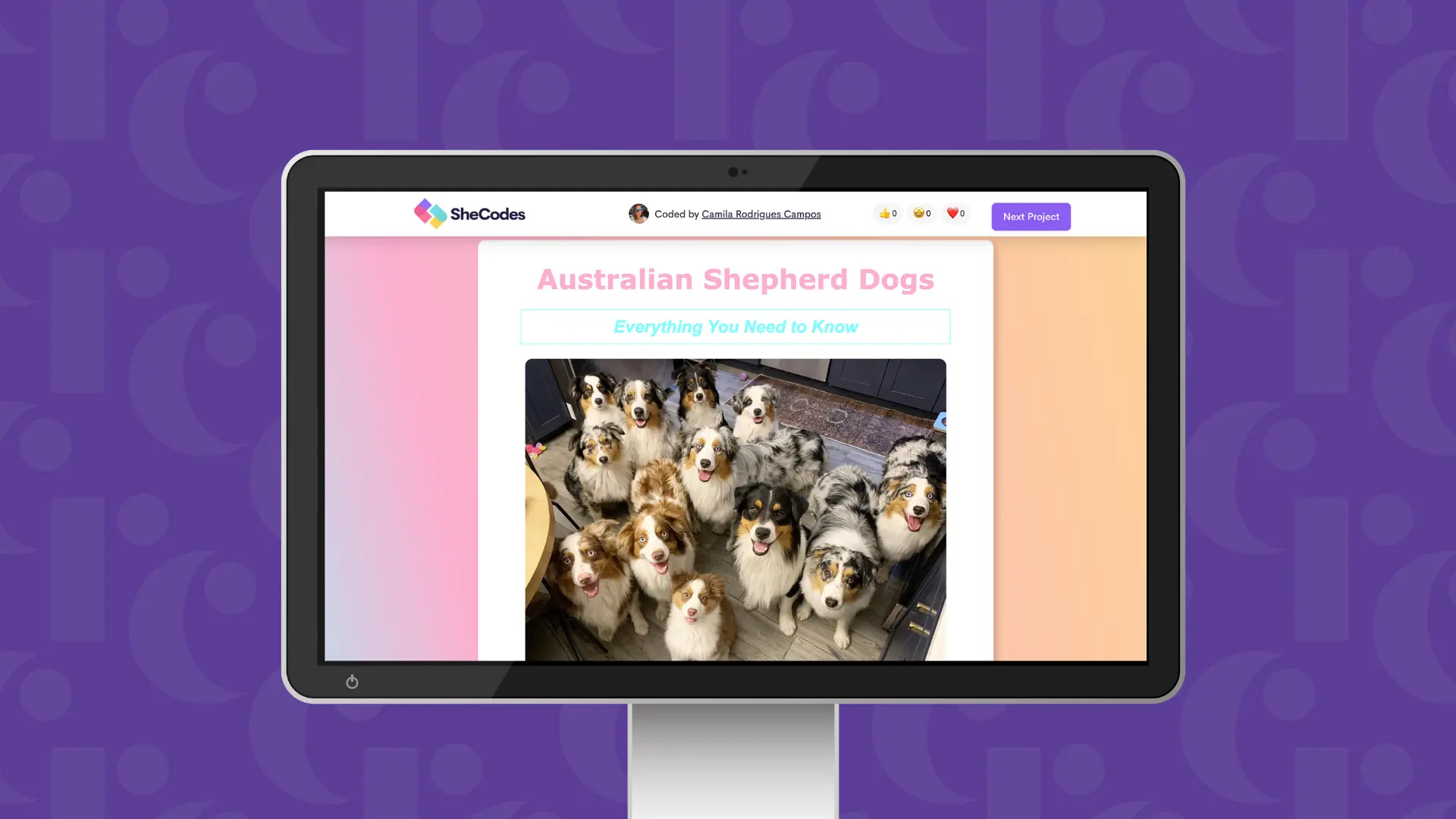 Australian Shep project preview